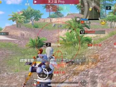 和平精英tnt辅助ios（使用和平精英tnt辅助ios可能面临哪些风险？）